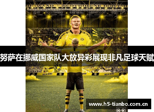 努萨在挪威国家队大放异彩展现非凡足球天赋
